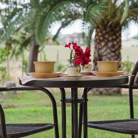 Villa Degli Oleandri Bnb Рим Екстер'єр фото